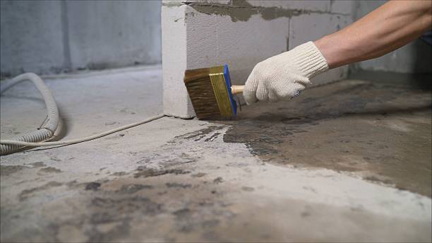 SJ Waterproofing Pros Basement Waterproofing coverage map for Curtice, OH and surrounding area